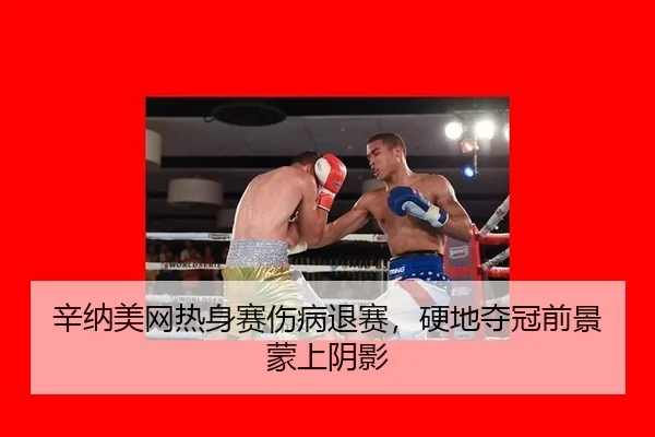 辛纳美网热身赛伤病退赛，硬地夺冠前景蒙上阴影