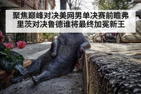 聚焦巅峰对决美网男单决赛前瞻弗里茨对决鲁德谁将最终加冕新王