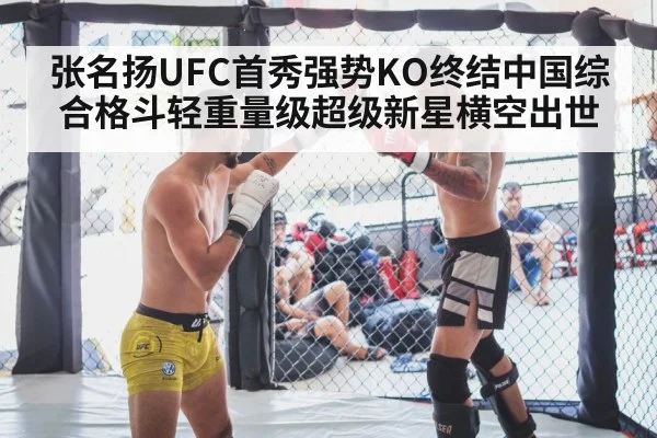 张名扬UFC首秀强势KO终结中国综合格斗轻重量级超级新星横空出世